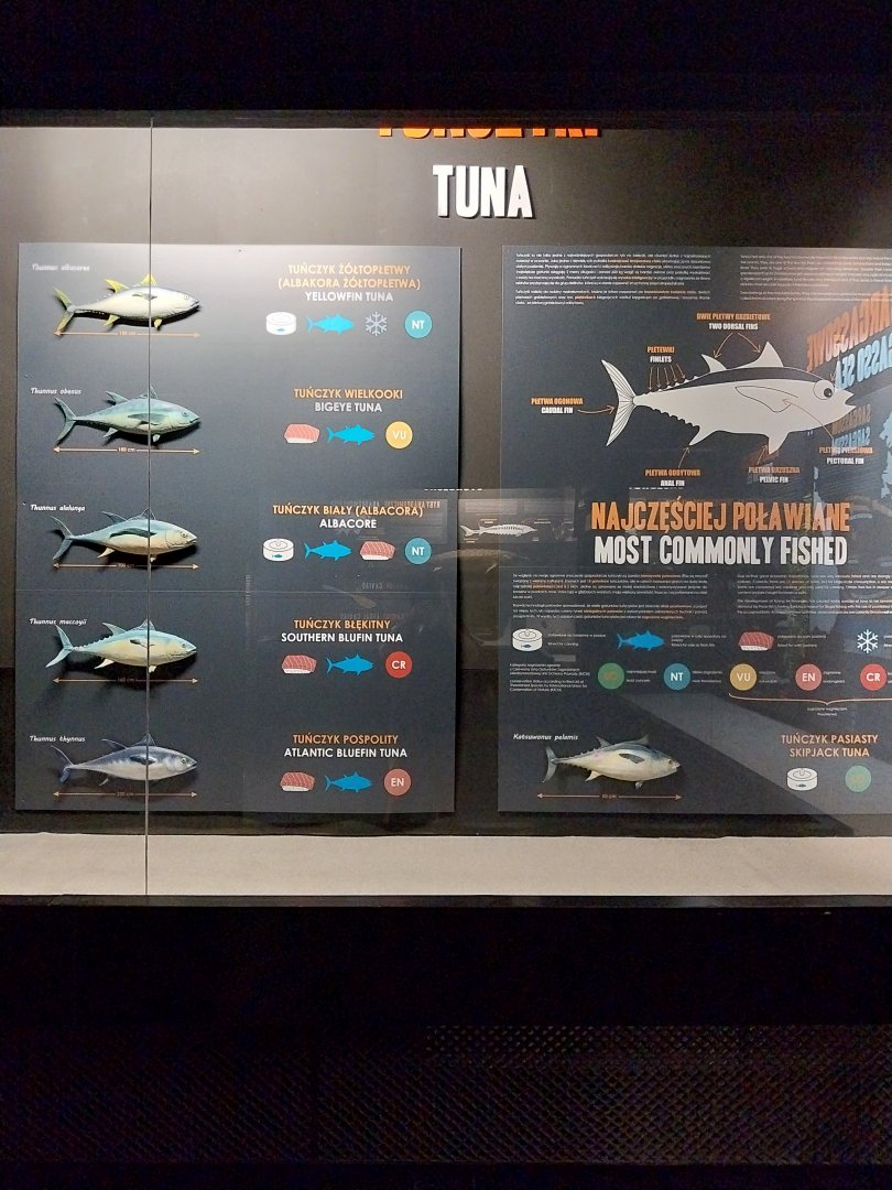 Exposition 2. Education Room