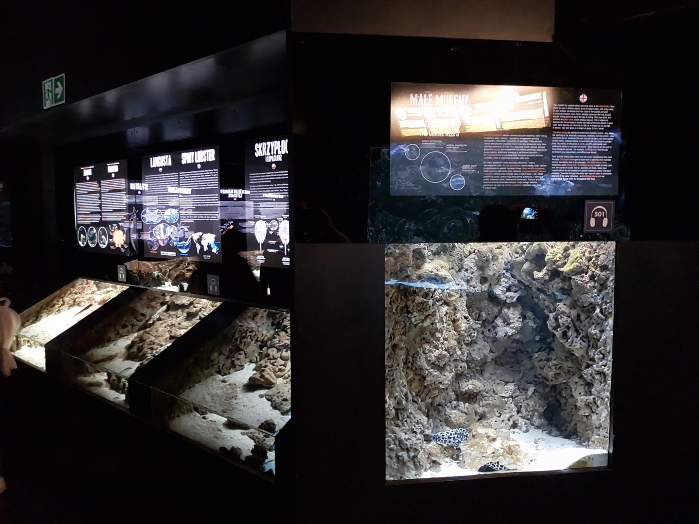 Exposition 5. Aquatic Animals of the World