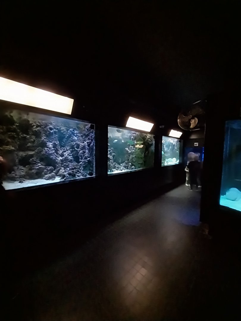 Exposition 5. Aquatic Animals of the World