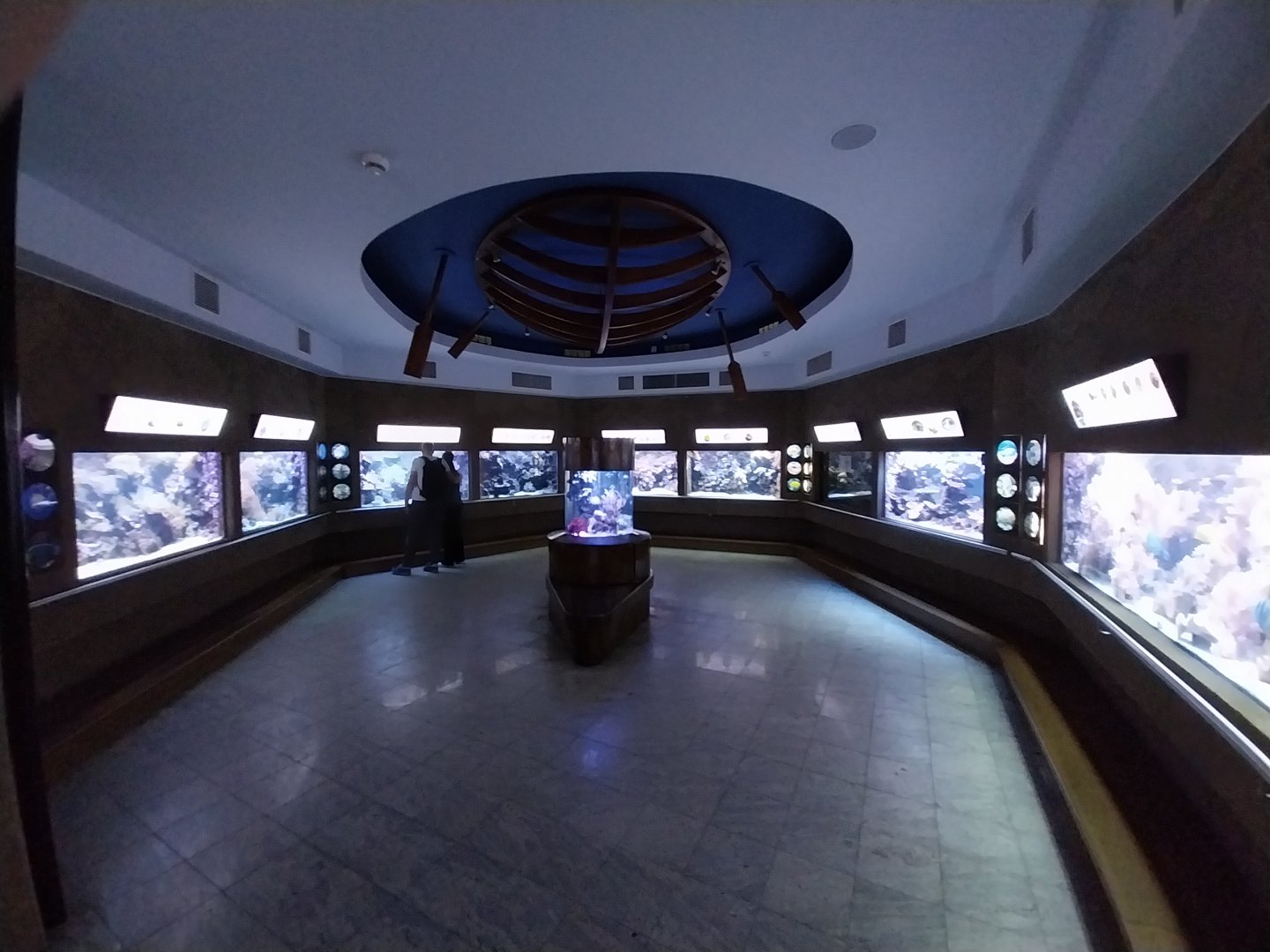 Exposition 6. Coral Reefs - General view