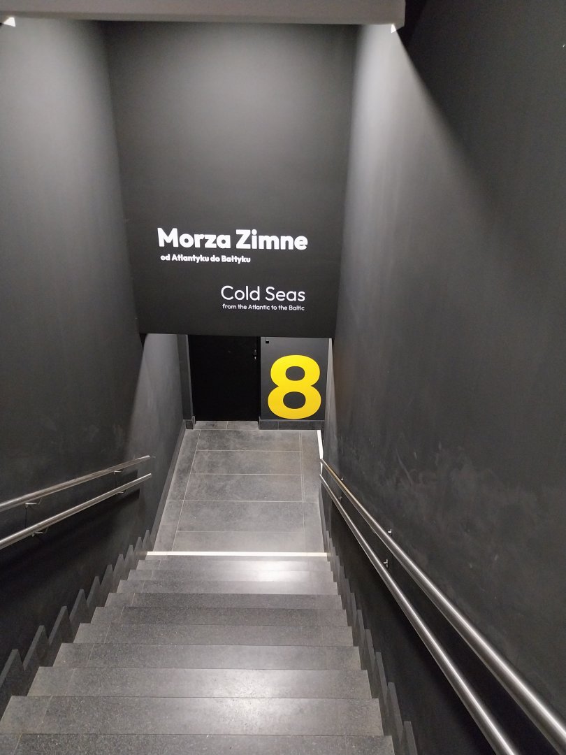 Exposition 8. Cold Seas