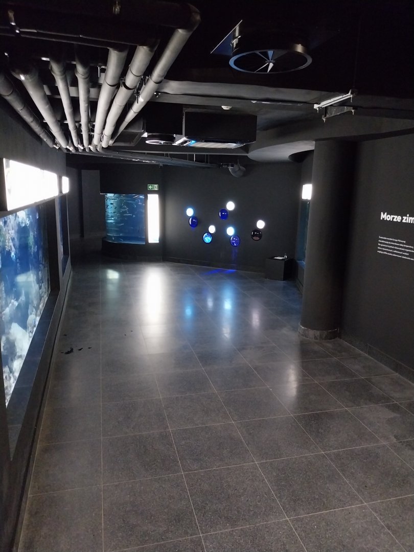 Exposition 8. Cold Seas