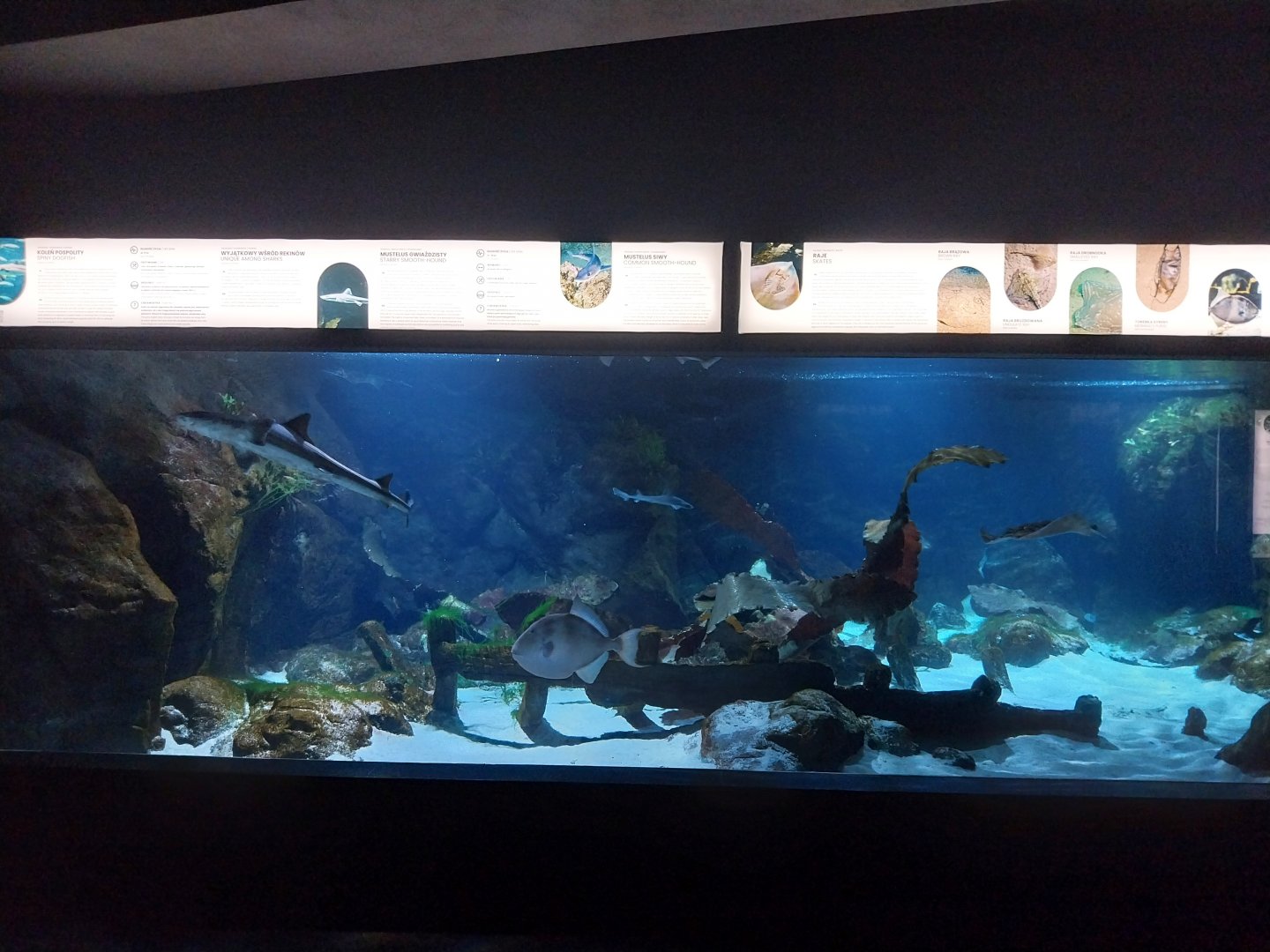 Exposition 8. Cold Seas -