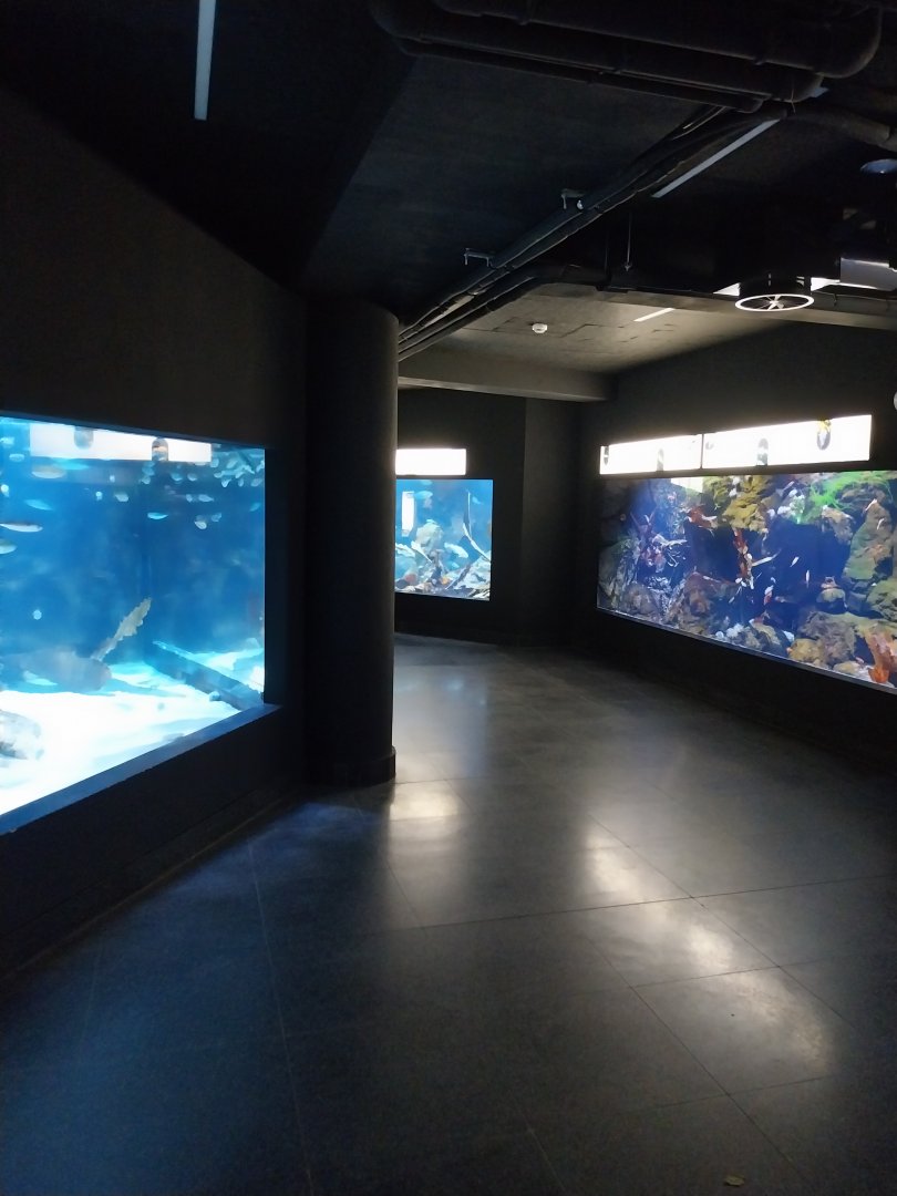 Exposition 8. Cold Seas