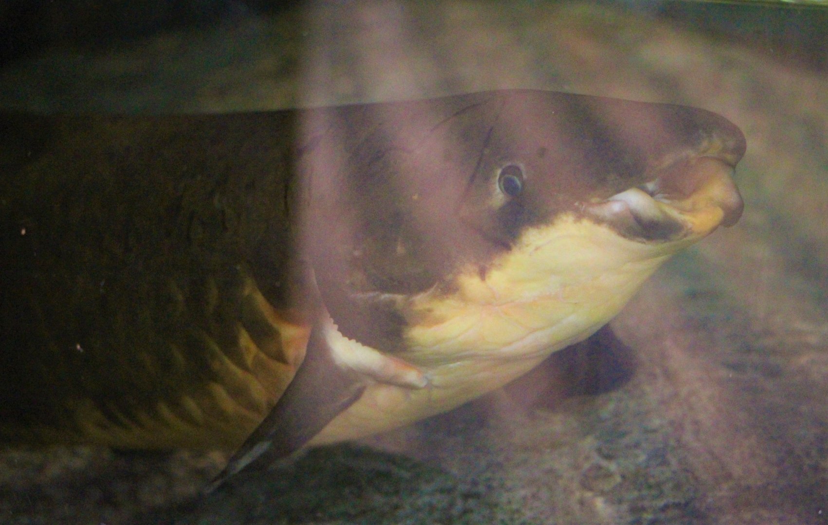 Expressing some curiosity