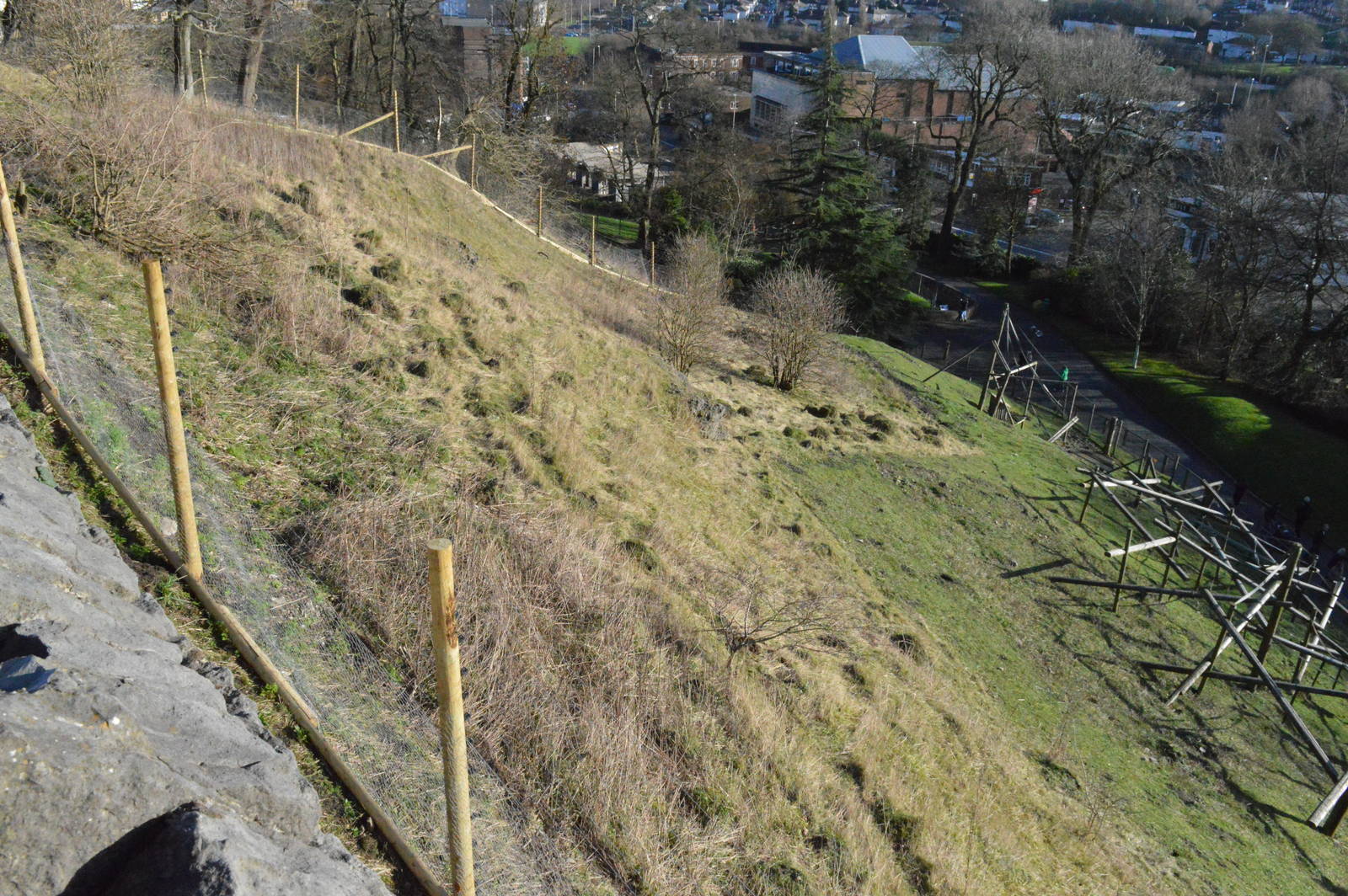 Extended Gelada enclosure