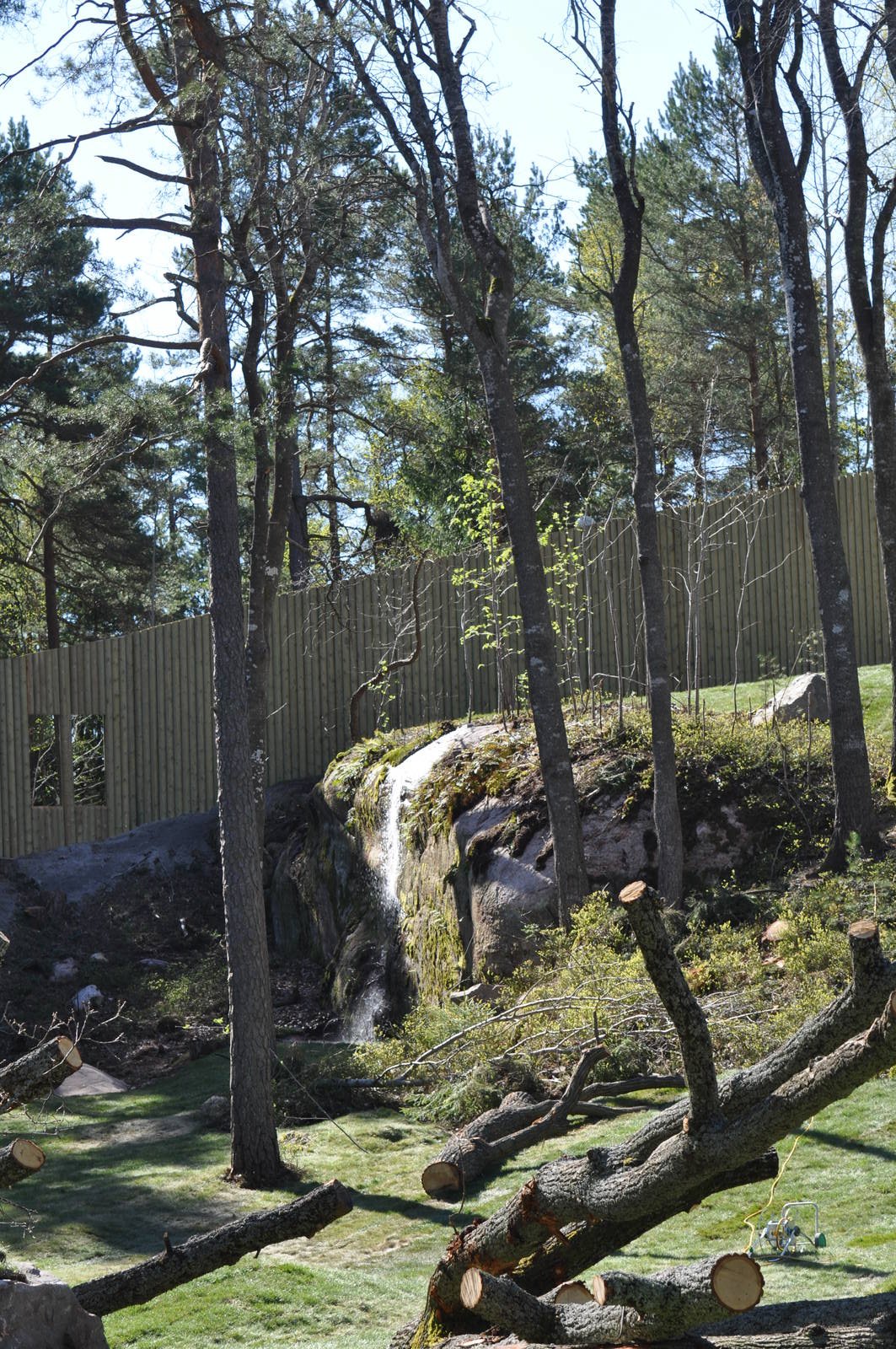 Extended gorilla exhibith