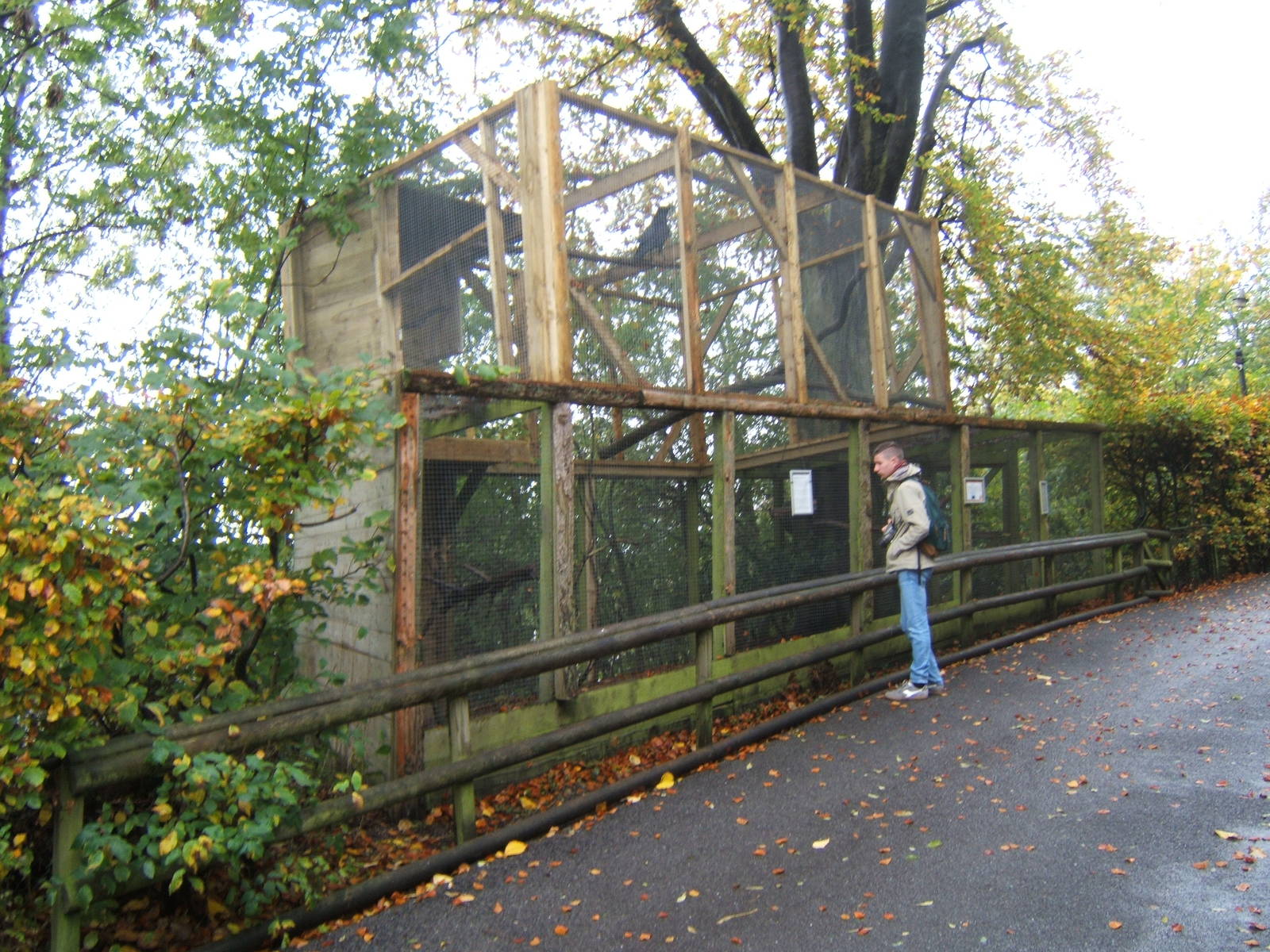 Extended height Raven aviary