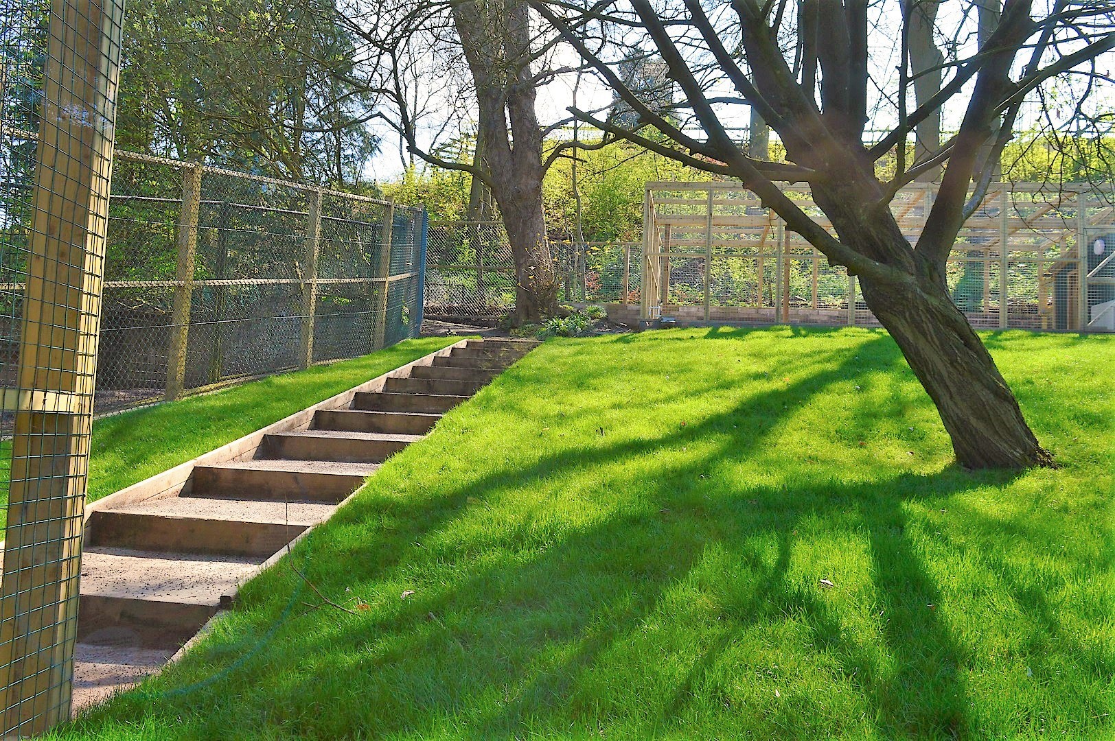 Extended Parma wallaby enclosure.