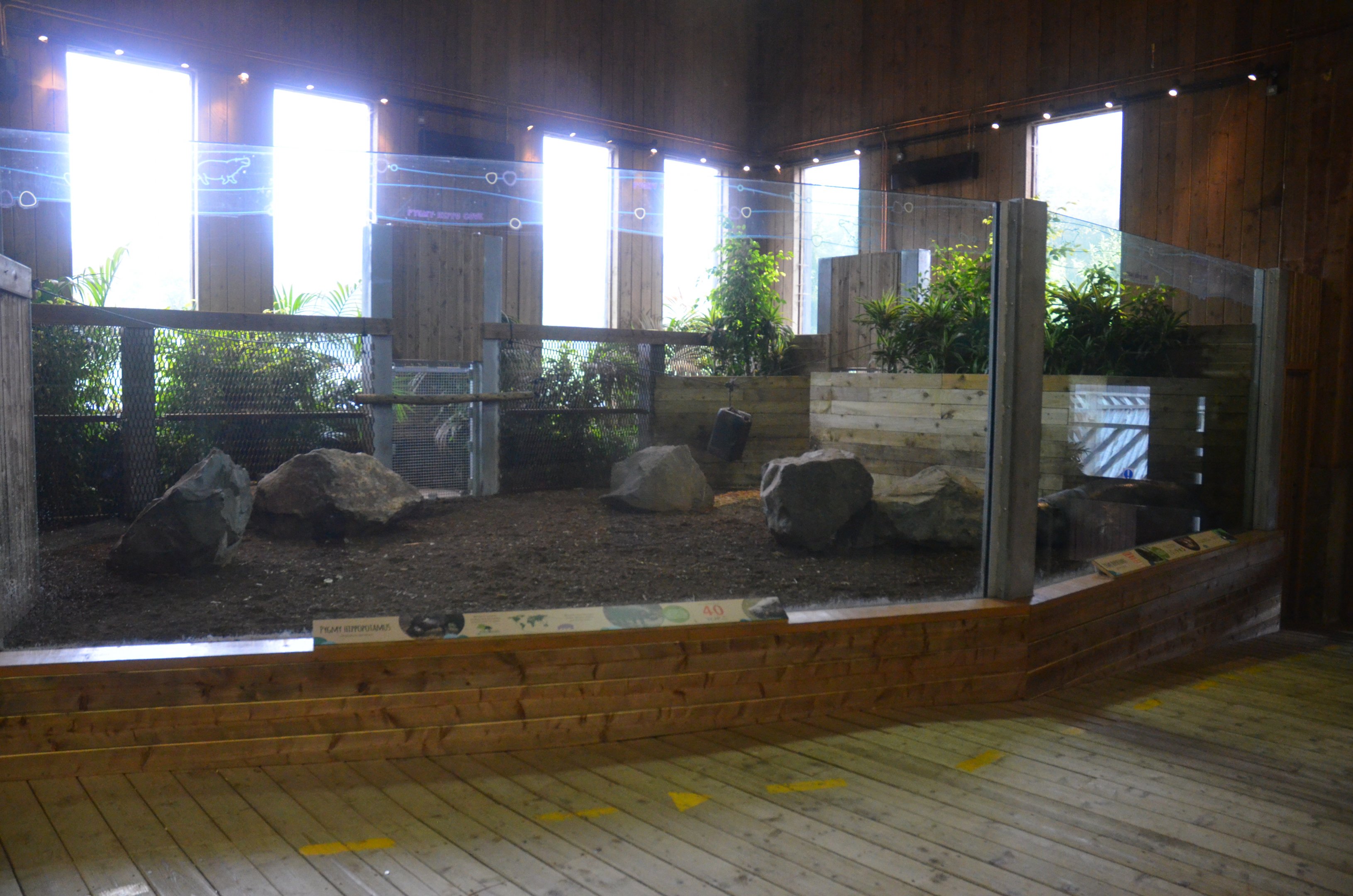 Extended Pygmy Hippo Indoor Enclosure at Colchester, 09/09/19