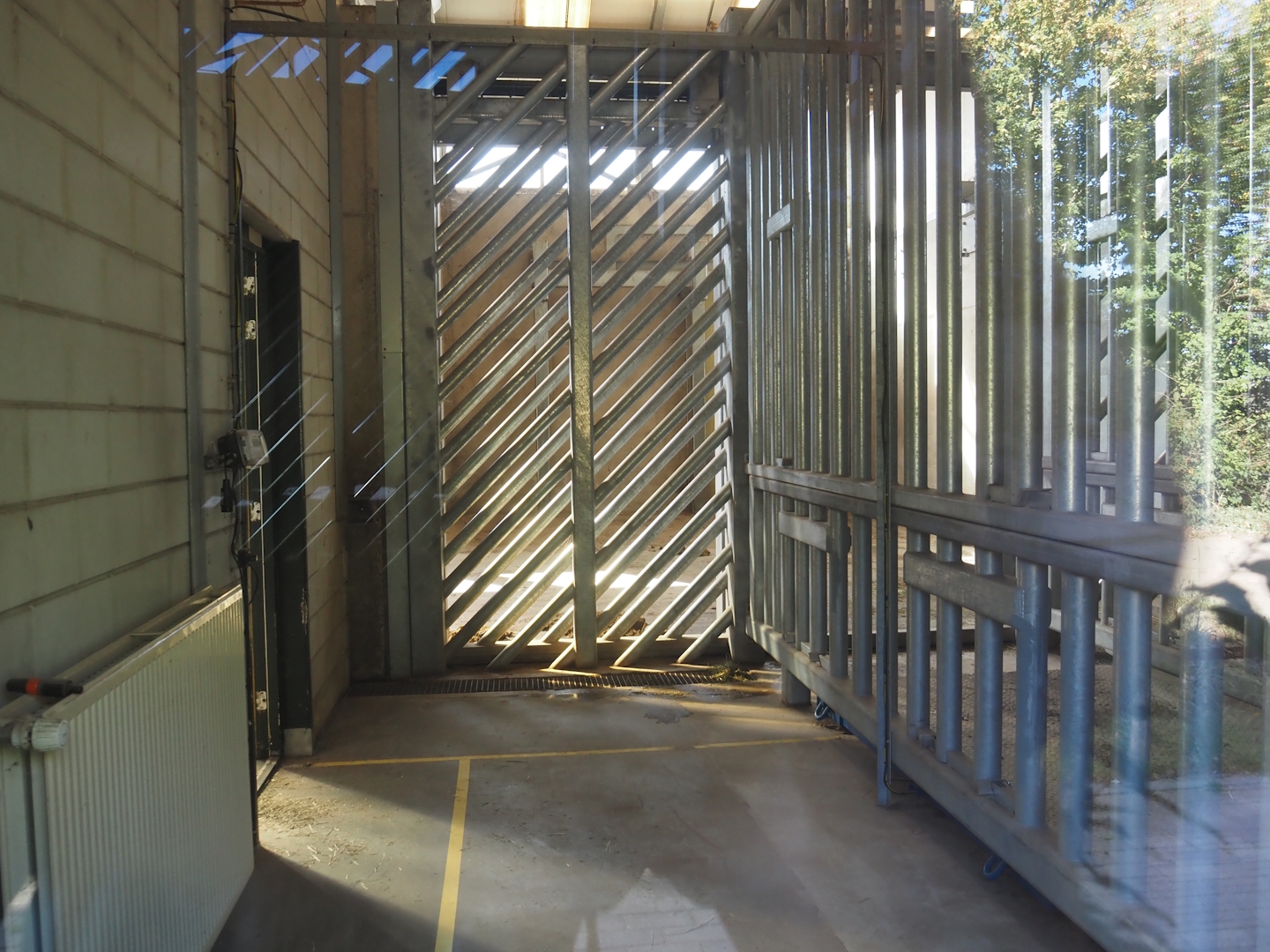 Extension of Asian elephant house - Bull stable, 2025-08-24