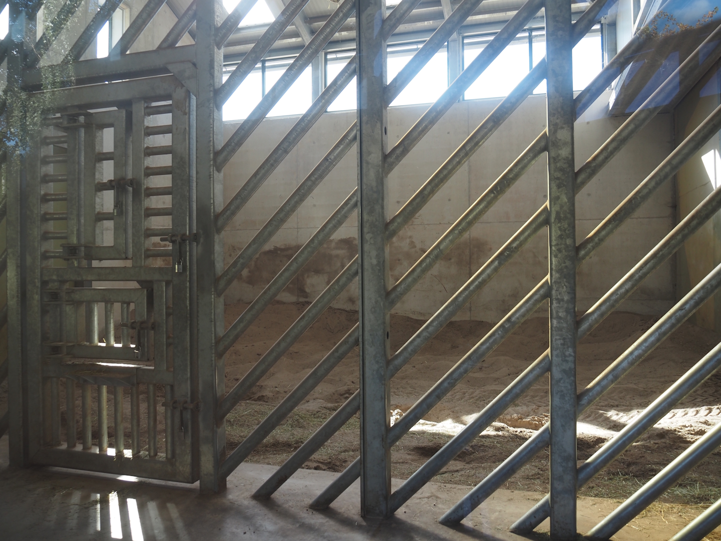 Extension of Asian elephant house - Bull stable, 2025-08-24