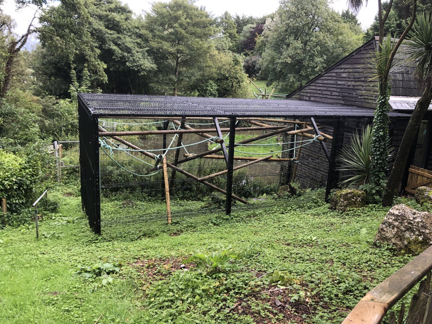 Extension of spider monkey house