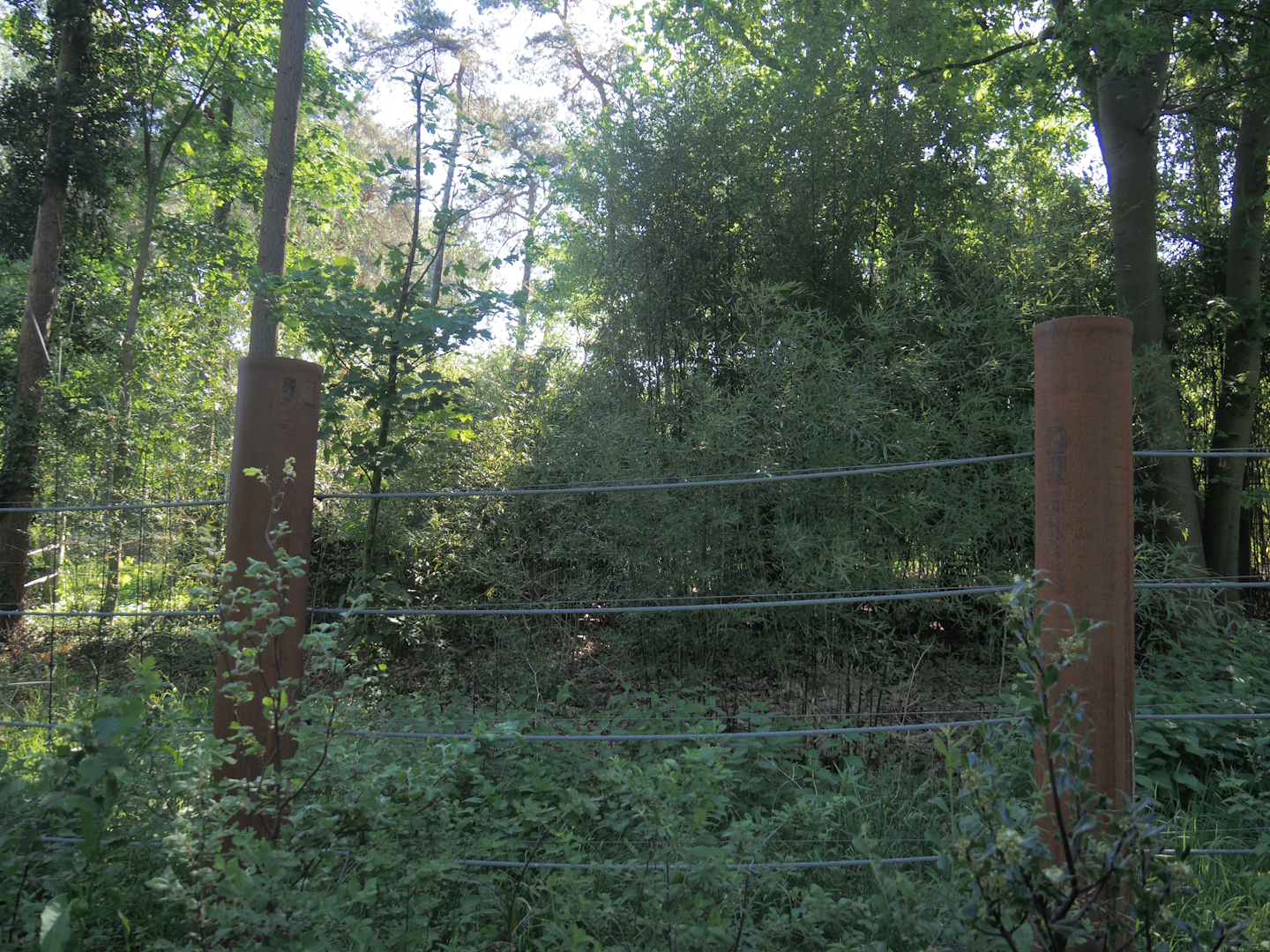 Extension of the Asian elephant exhibit (Seemingly not in use at the time?), 2025-05-17