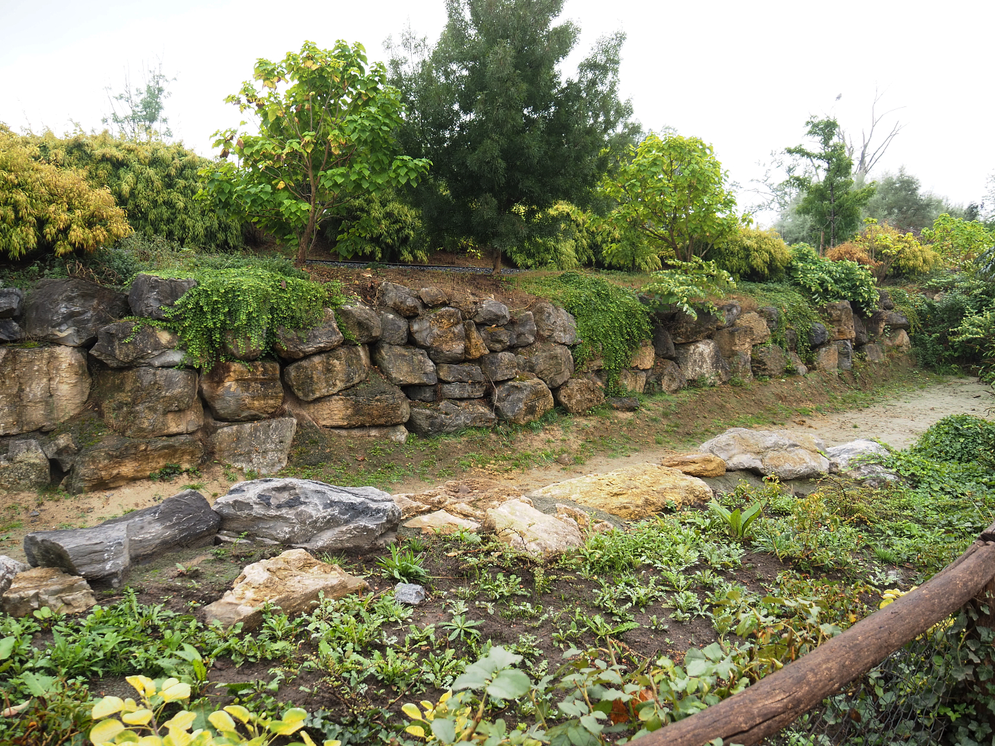 Extension of the land portion of the hippopotamus exhibit, 2022-09-15