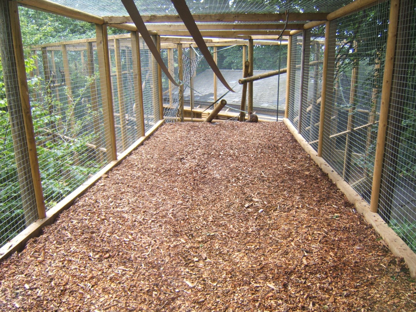 Extension to Buffy-headed Capuchin enclosure 29/07/2017