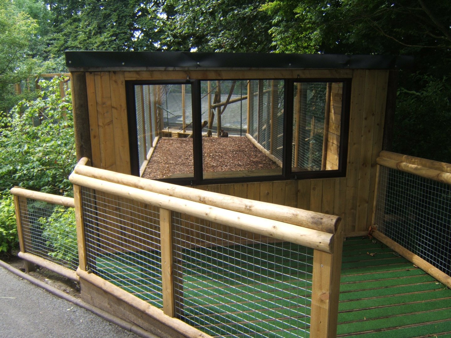 Extension to Buffy-headed Capuchin enclosure 29/07/2017