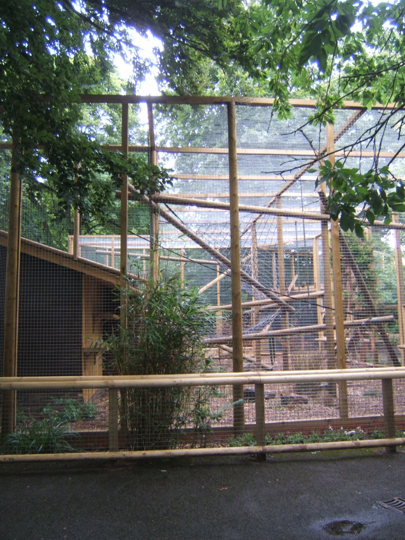 Extension to Buffy-headed Capuchin enclosure 29/07/2017