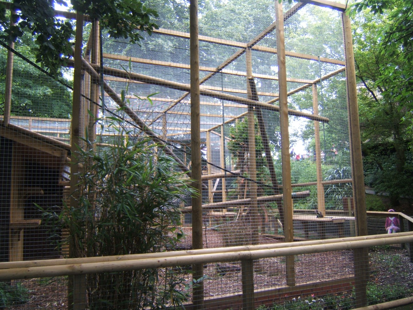 Extension to Buffy-headed Capuchin enclosure 29/07/2017