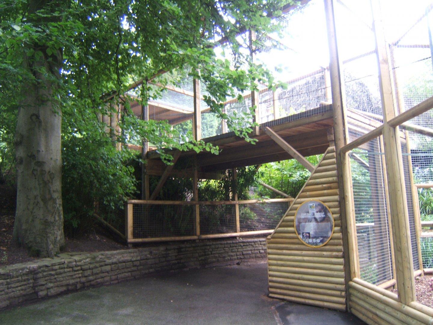 Extension to Buffy-headed Capuchin enclosure 29/07/2017