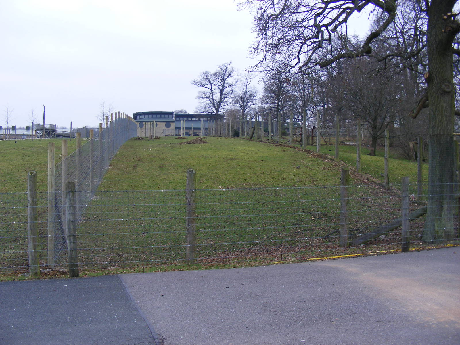 Extension to cheetah enclosure at Marwell Wildlife, 29 January 2011