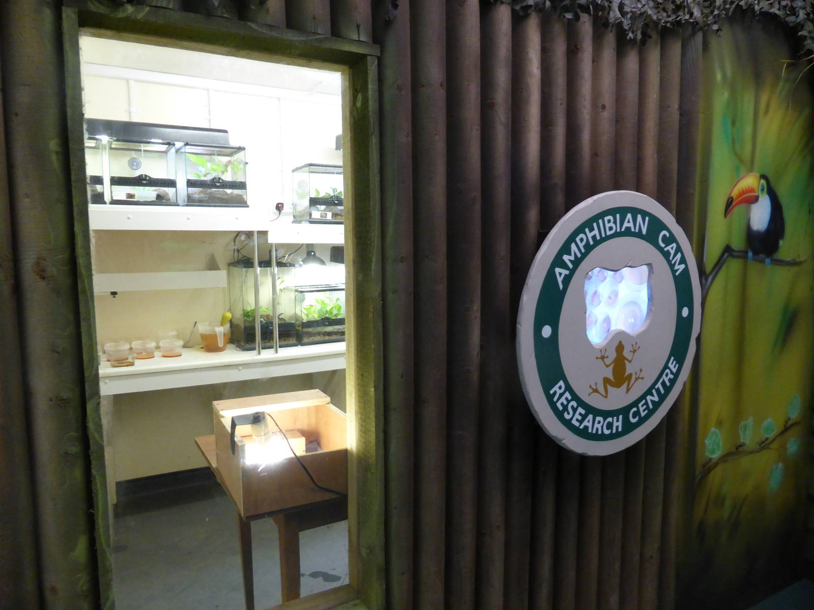 Extension to Interactive Zone