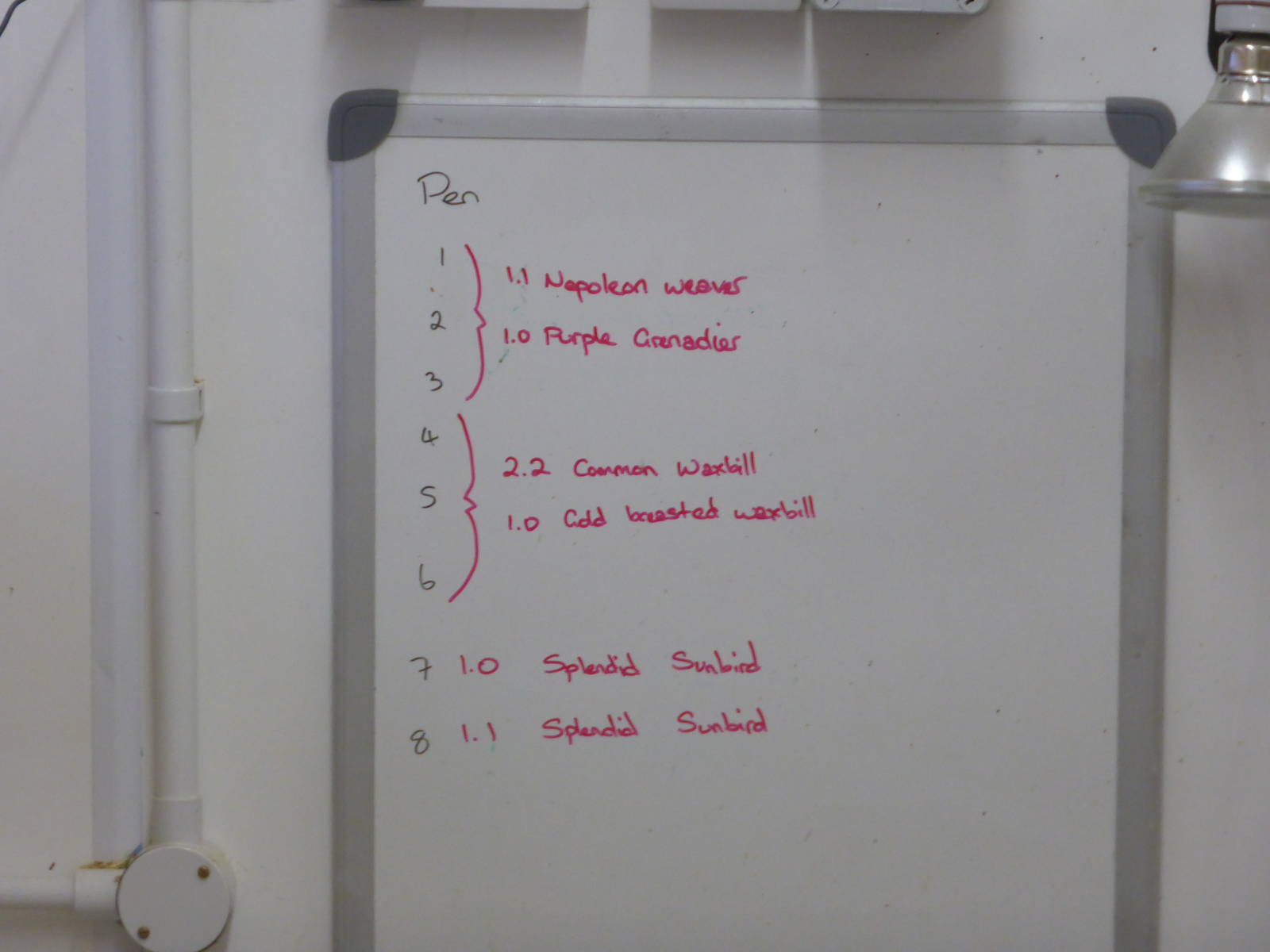 Extension to Interactive Zone