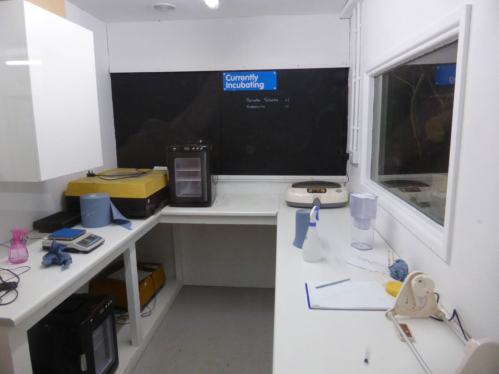 Extension to Interactive Zone