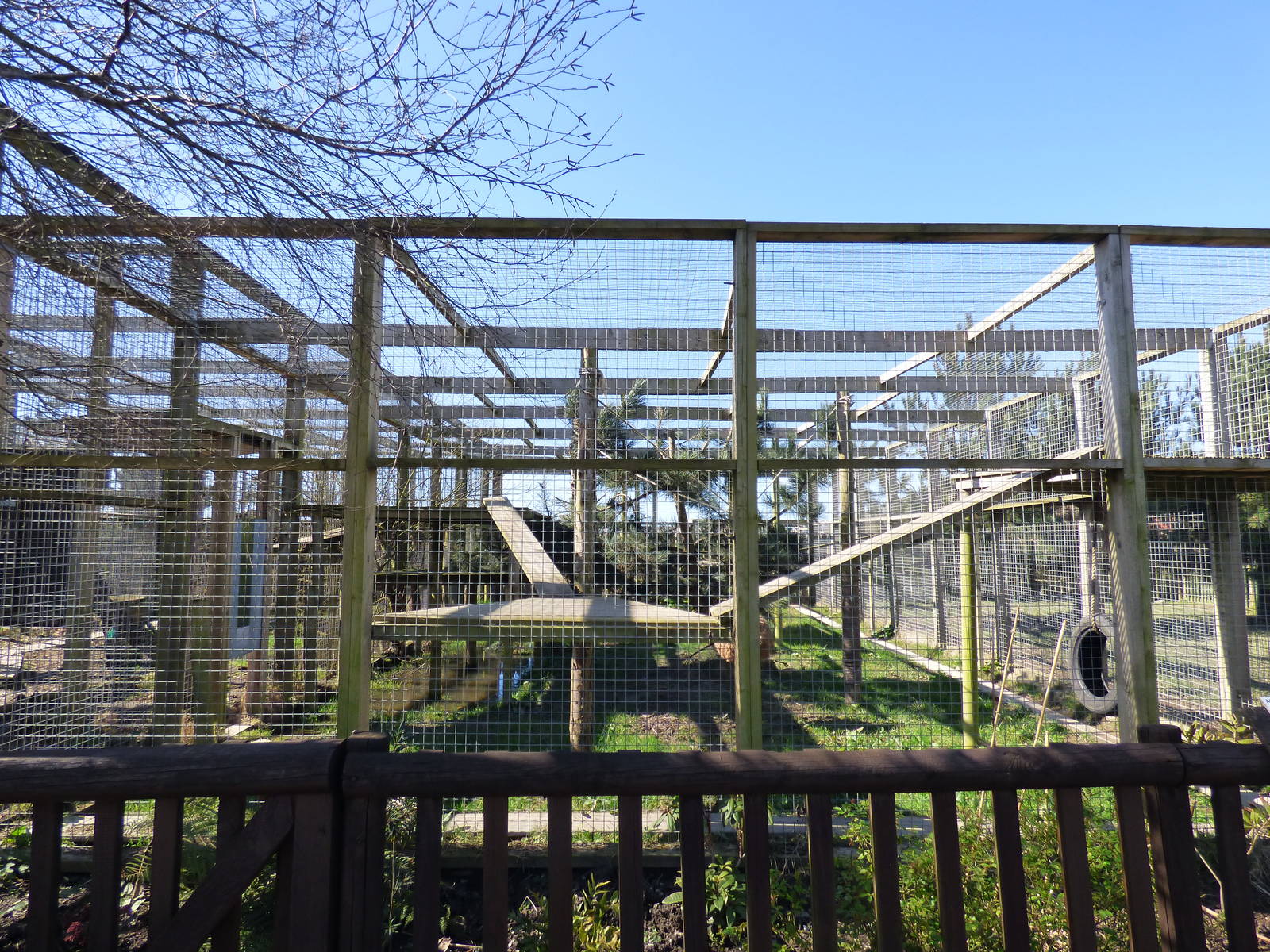 Extension to Leopard Enclosure