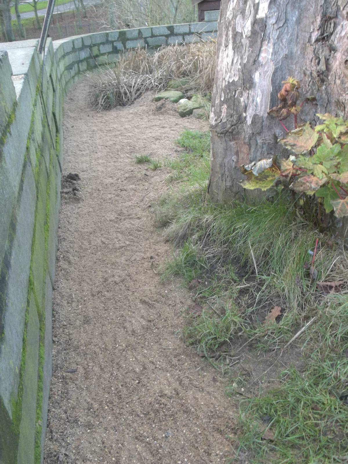 Extension to penguin beach, 25th December 2014