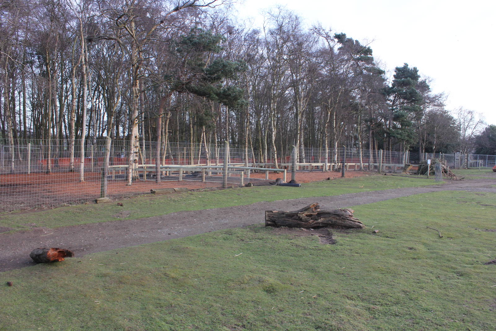 Extension to Wallaby enclosure 24-1-15