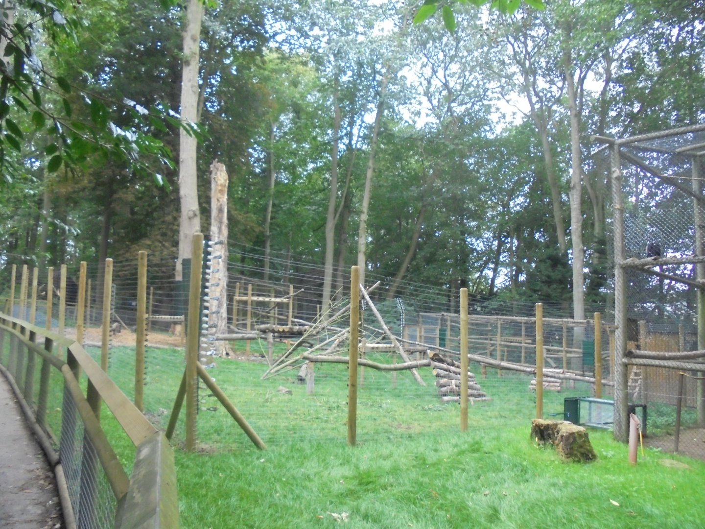 Extension to woodland walk LTM enclosure.