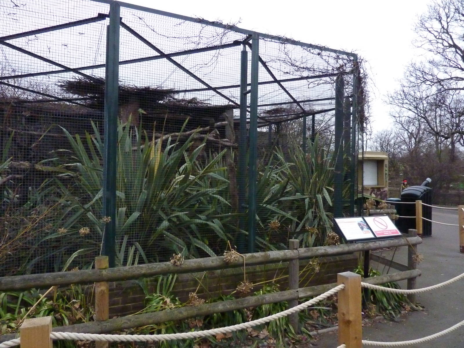 Extensive Red Panda barriers