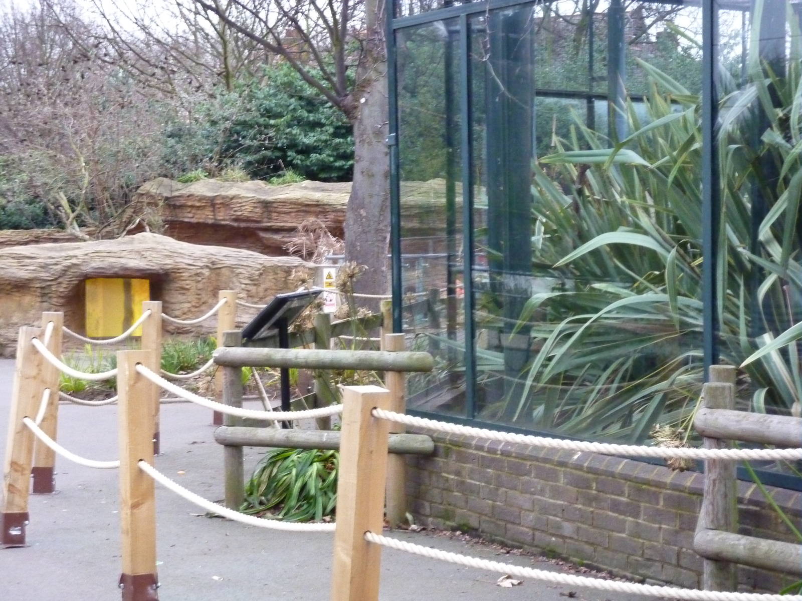 Extensive Red Panda barriers