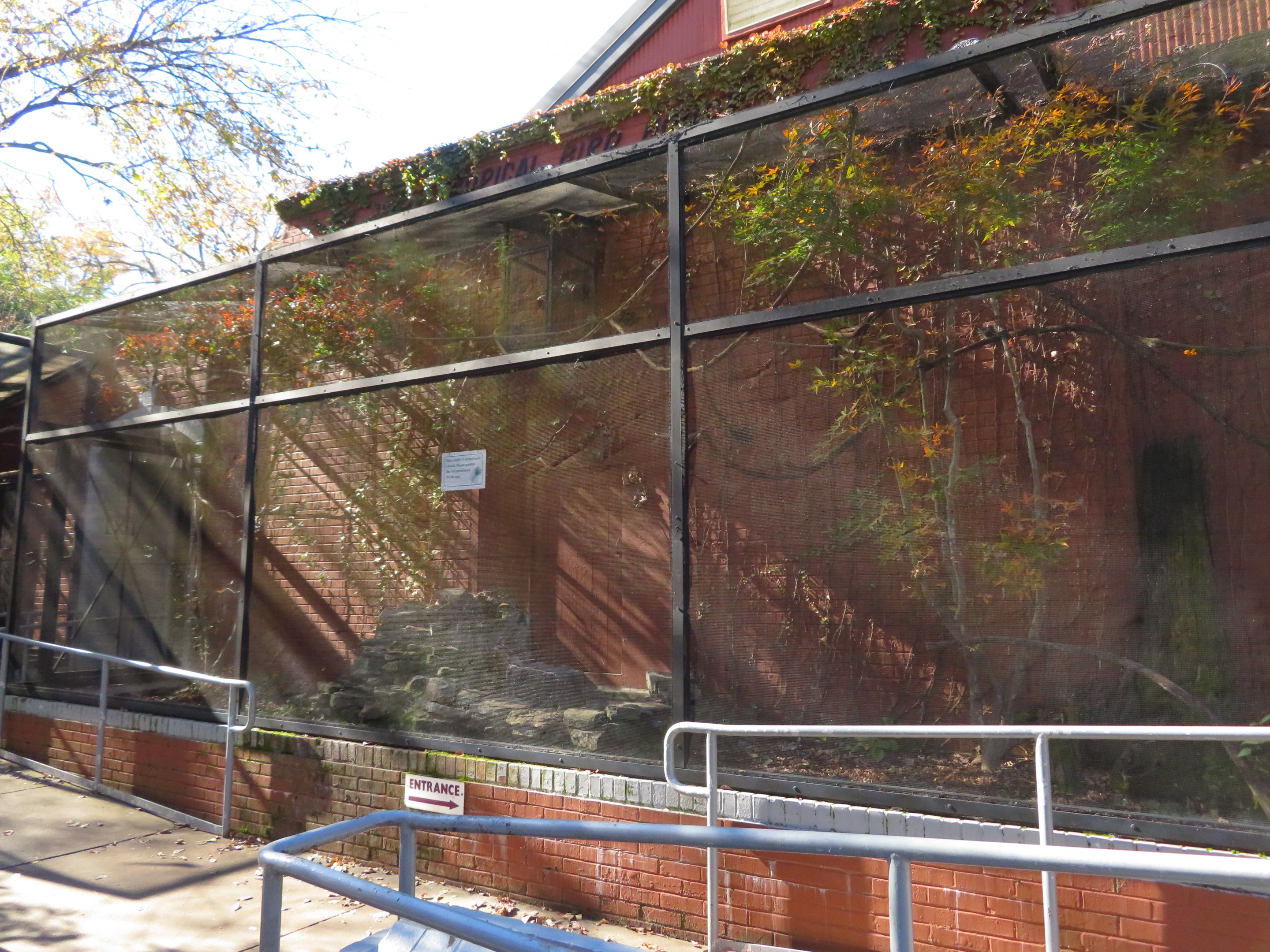 Exterior Bird Cage (empty)