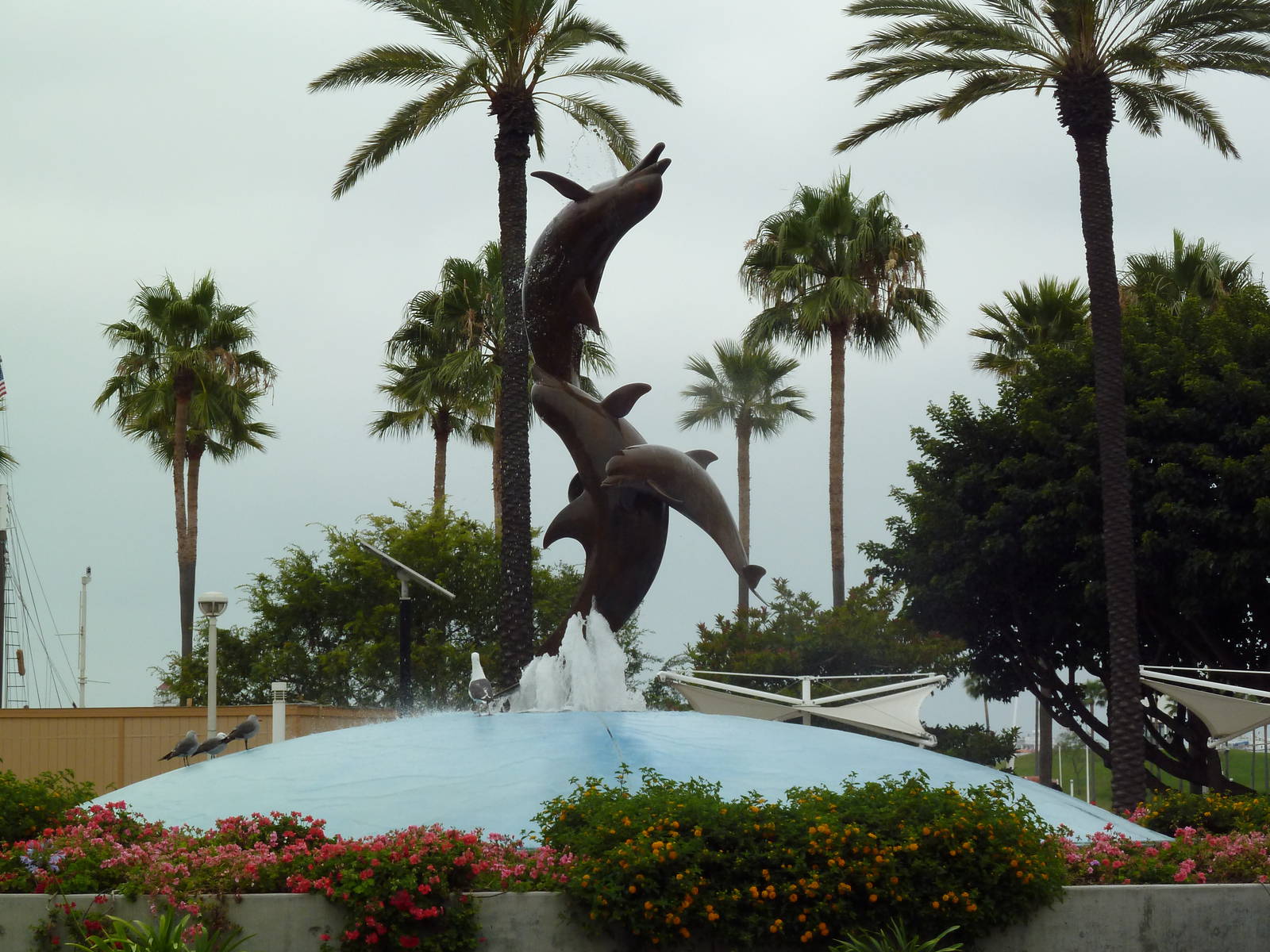Exterior - Dolphin Statue