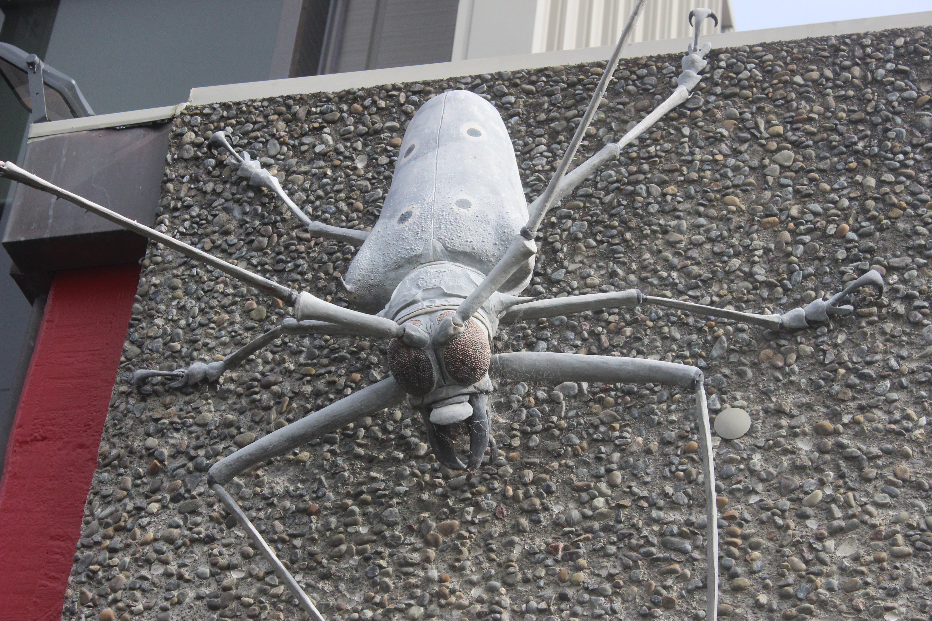 Exterior giant model of Longhorn Beetle