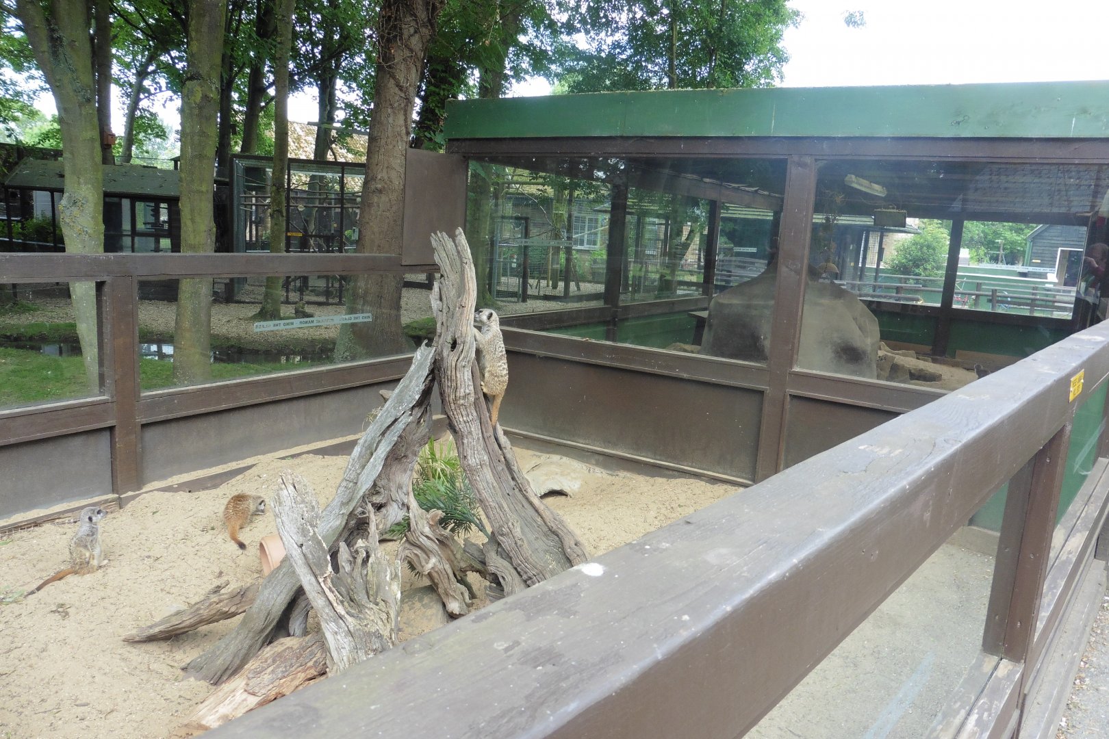 Exterior & interior Meerkat pits