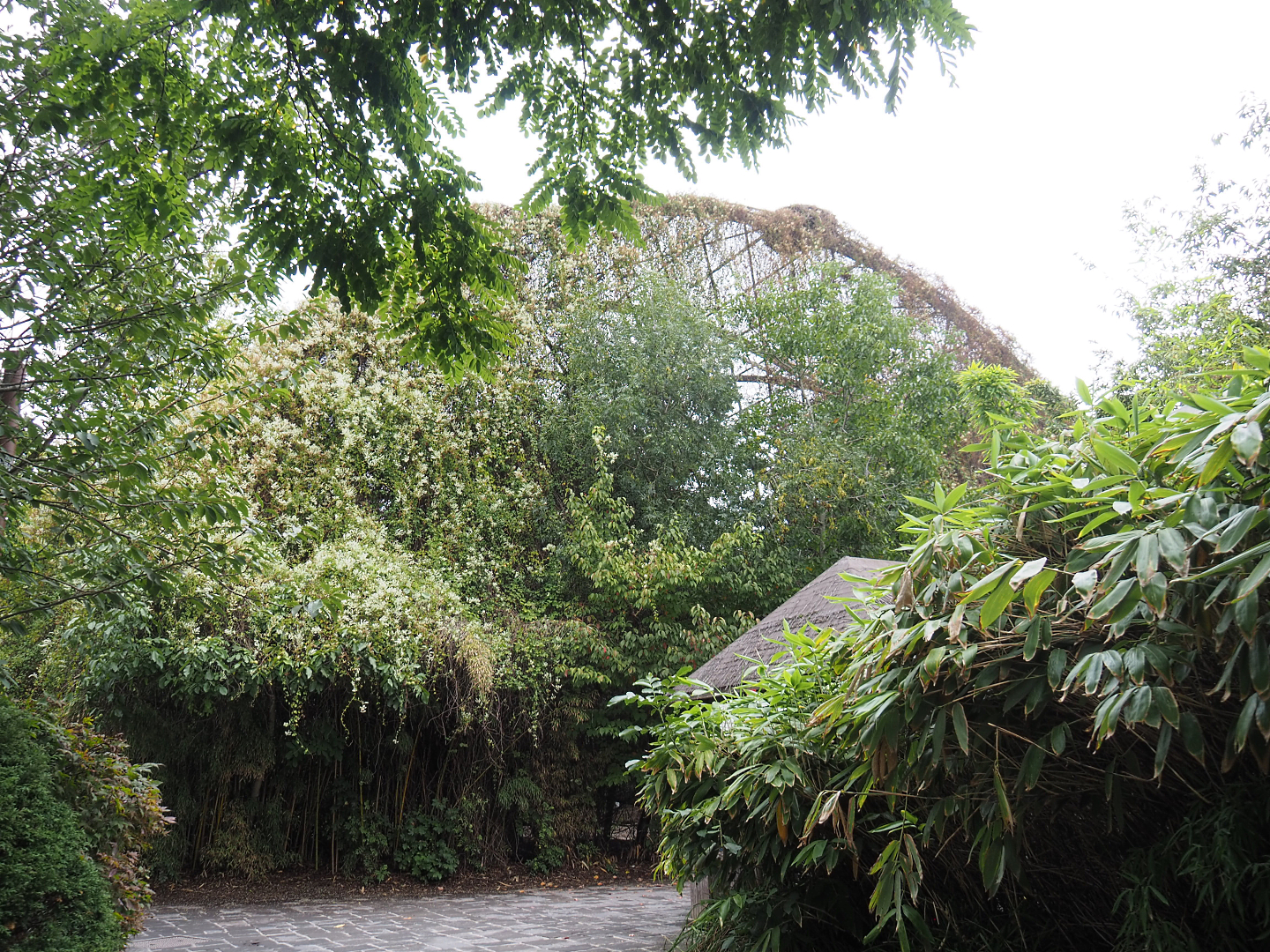 Exterior of Cathedral aviary near Tropicalia greenhouse, 2022-09-15