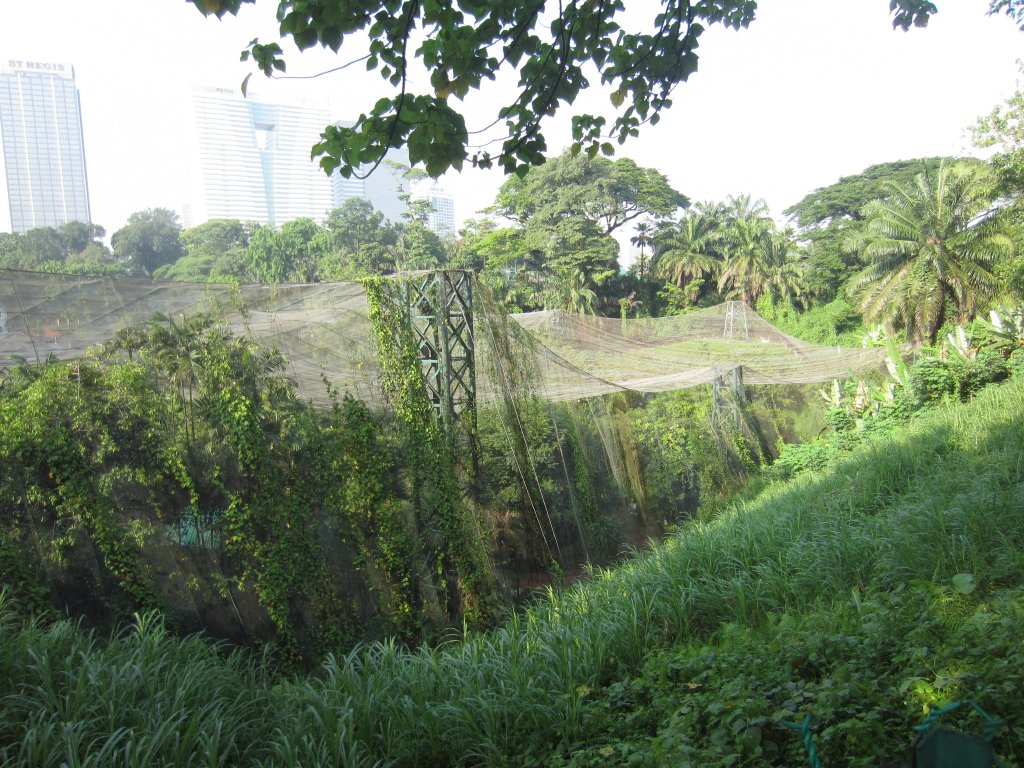Exterior of the main aviary