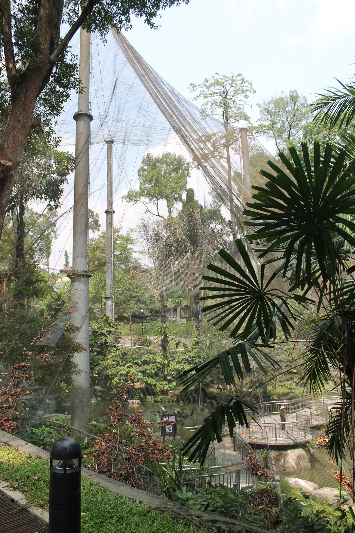 Exterior of the Waterfall Aviary, showing the height