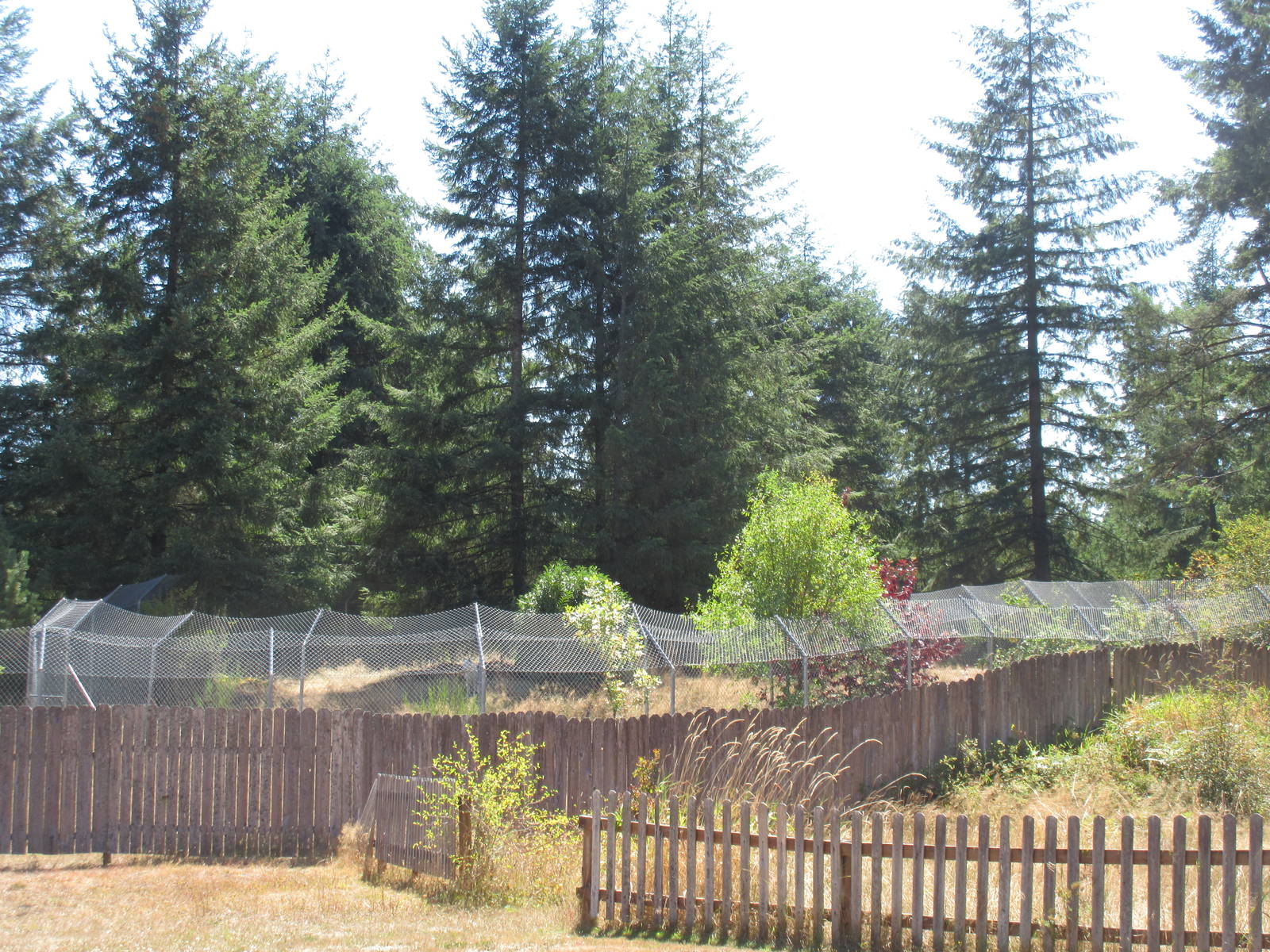 Exterior of Wolf Haven