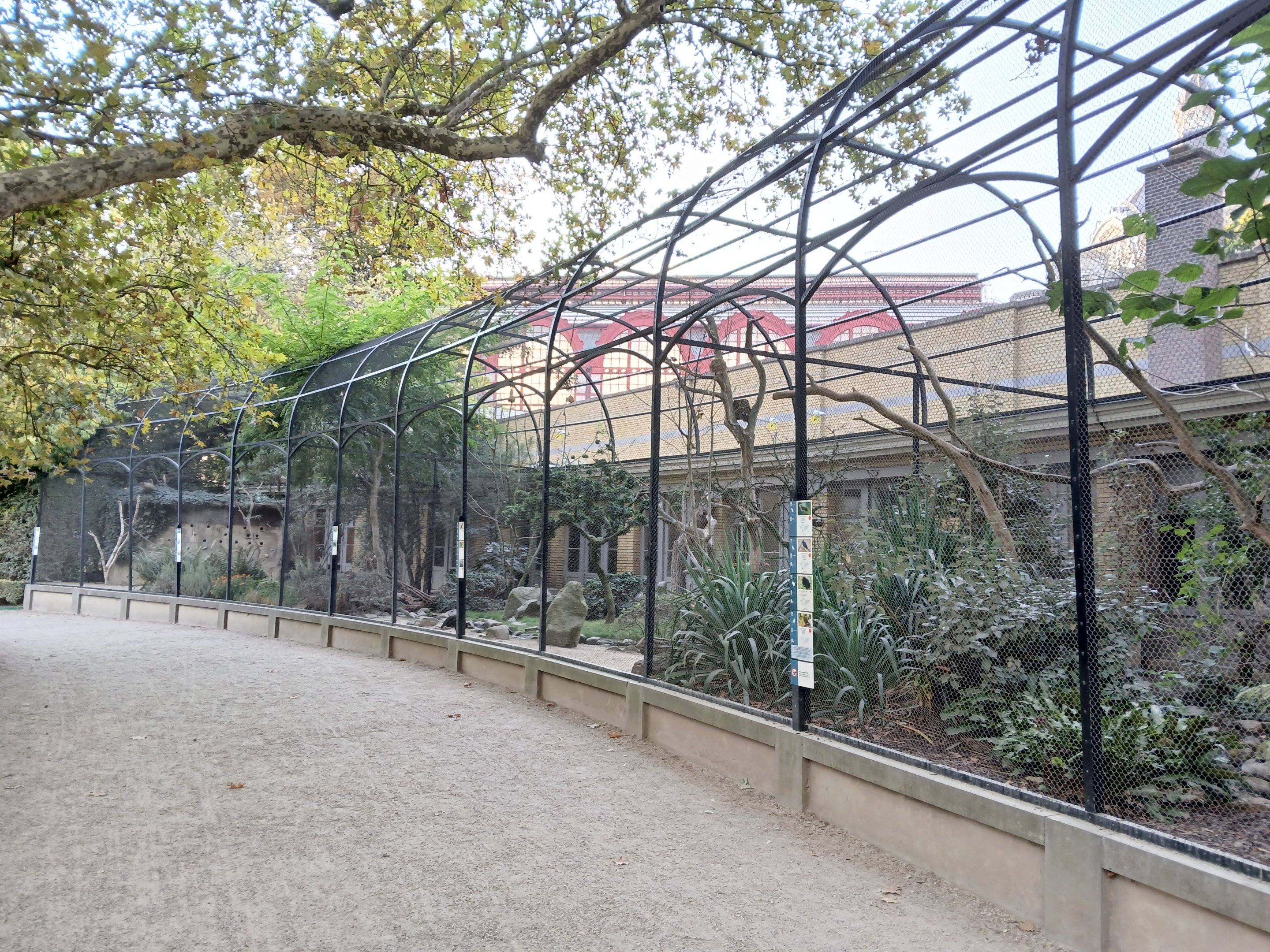 External aviaries (30th September 2025)