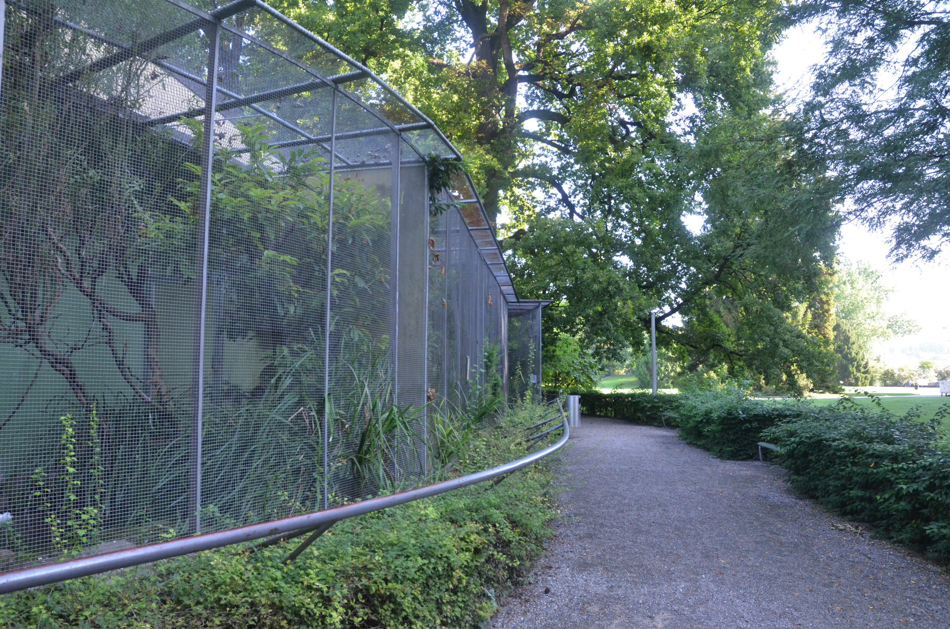 External Aviaries at Voliere Zurich (Mythenquai), 13/09/16