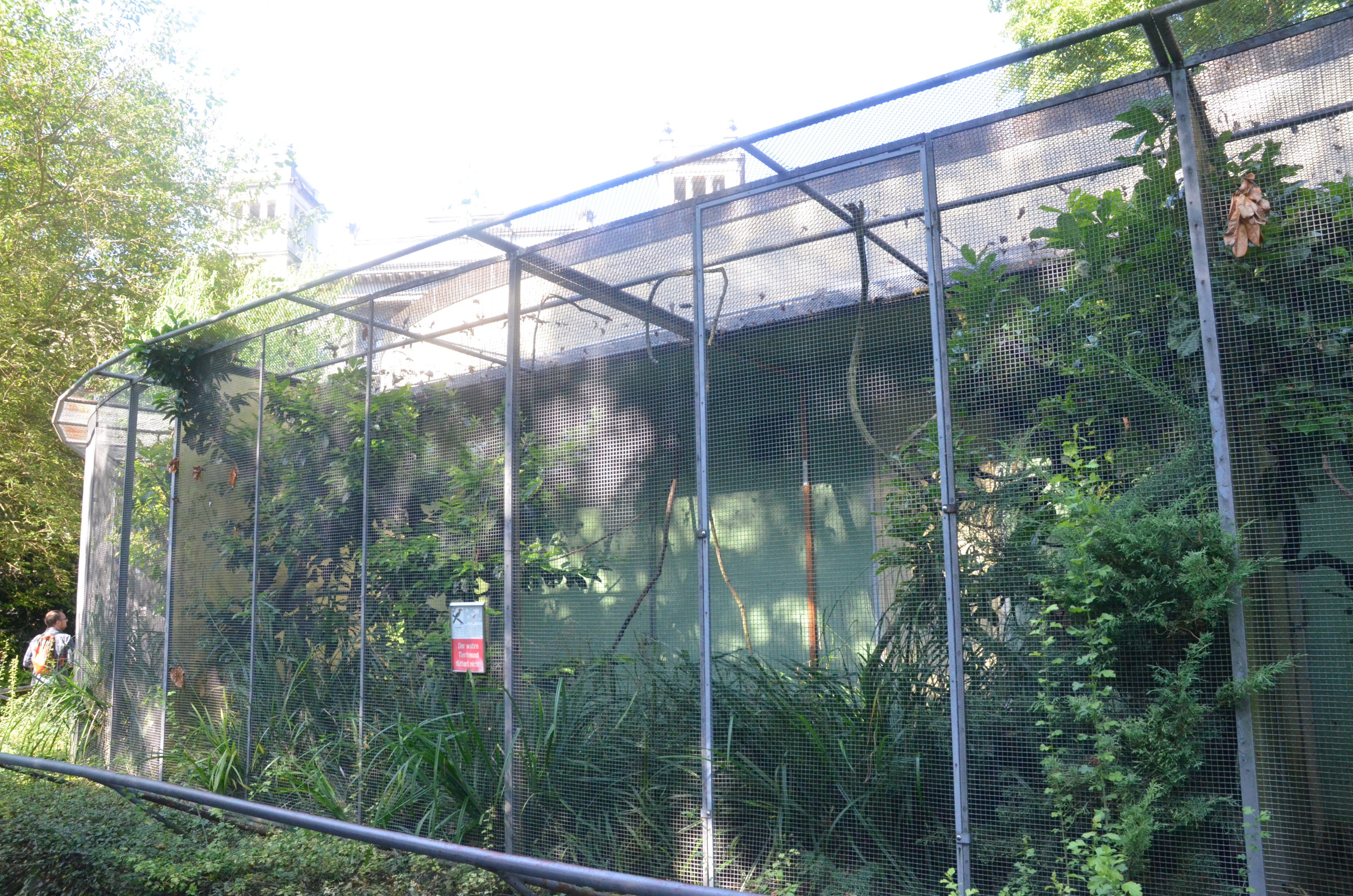 External Aviaries at Voliere Zurich (Mythenquai), 13/09/16