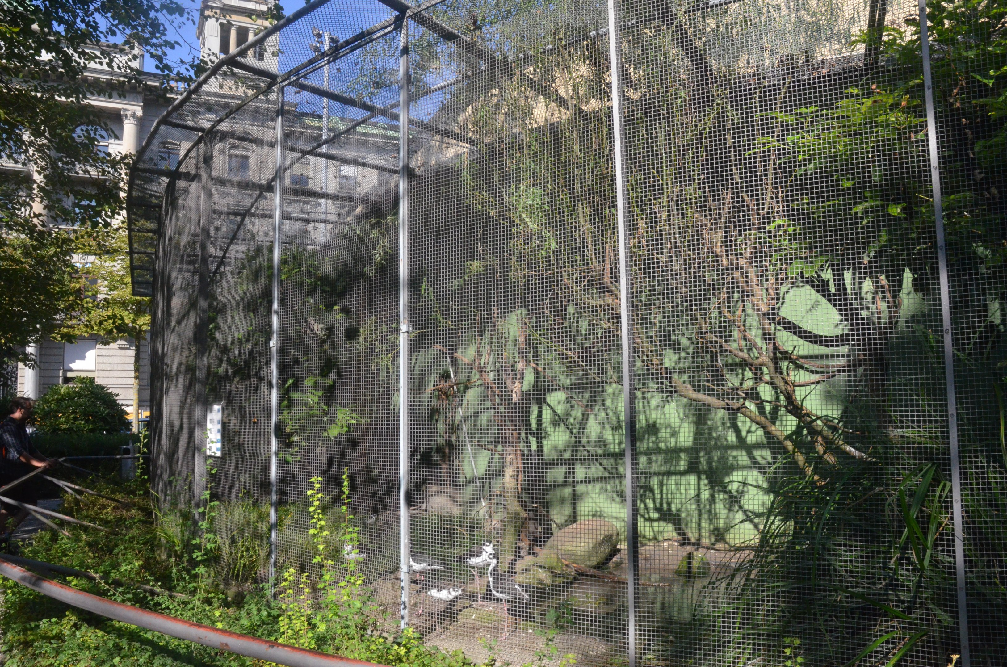 External Aviaries at Voliere Zurich (Mythenquai), 13/09/16