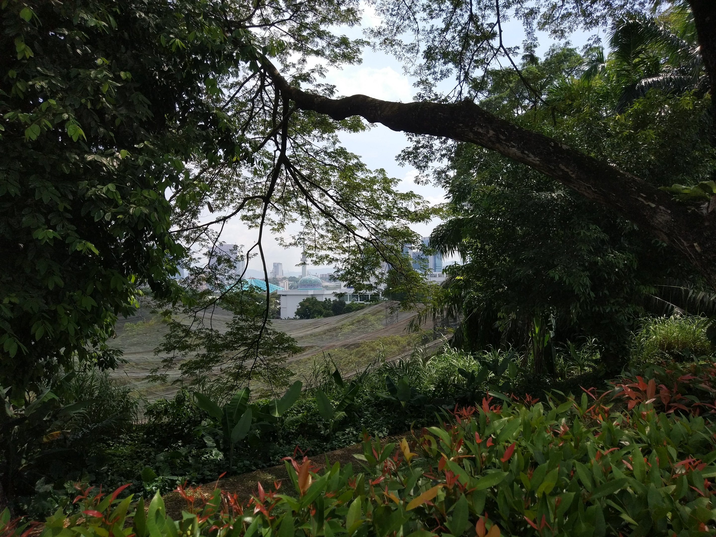 External view of the walkthrough aviaries