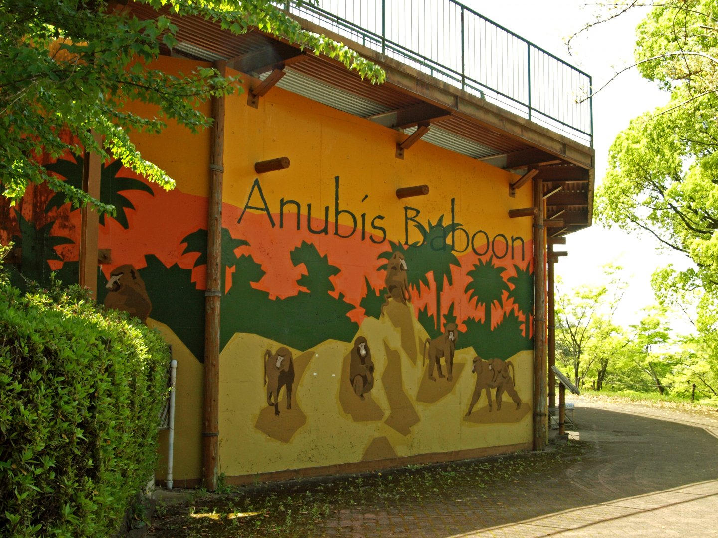 External wall of baboon pit