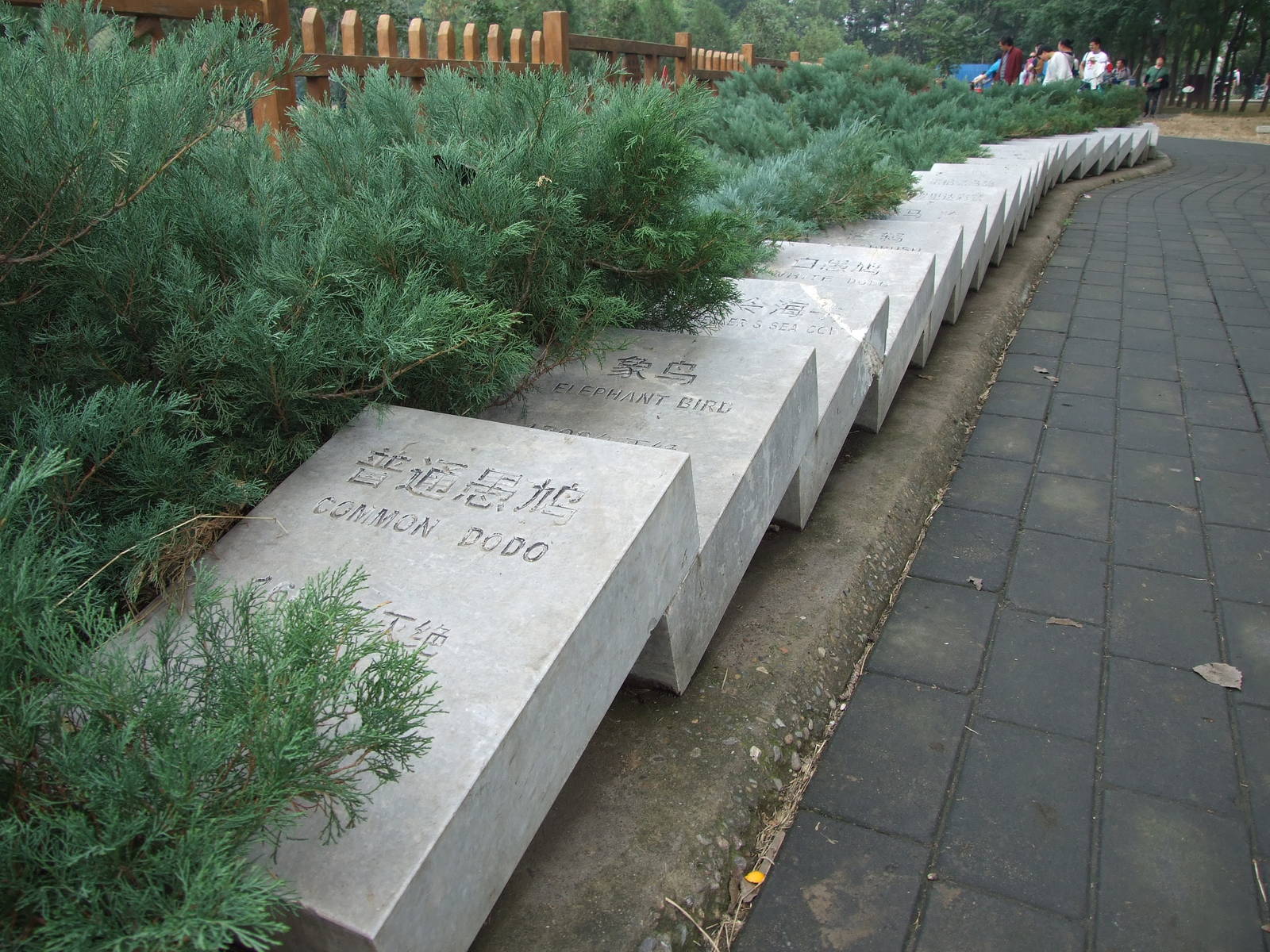 Extinct animal Domino