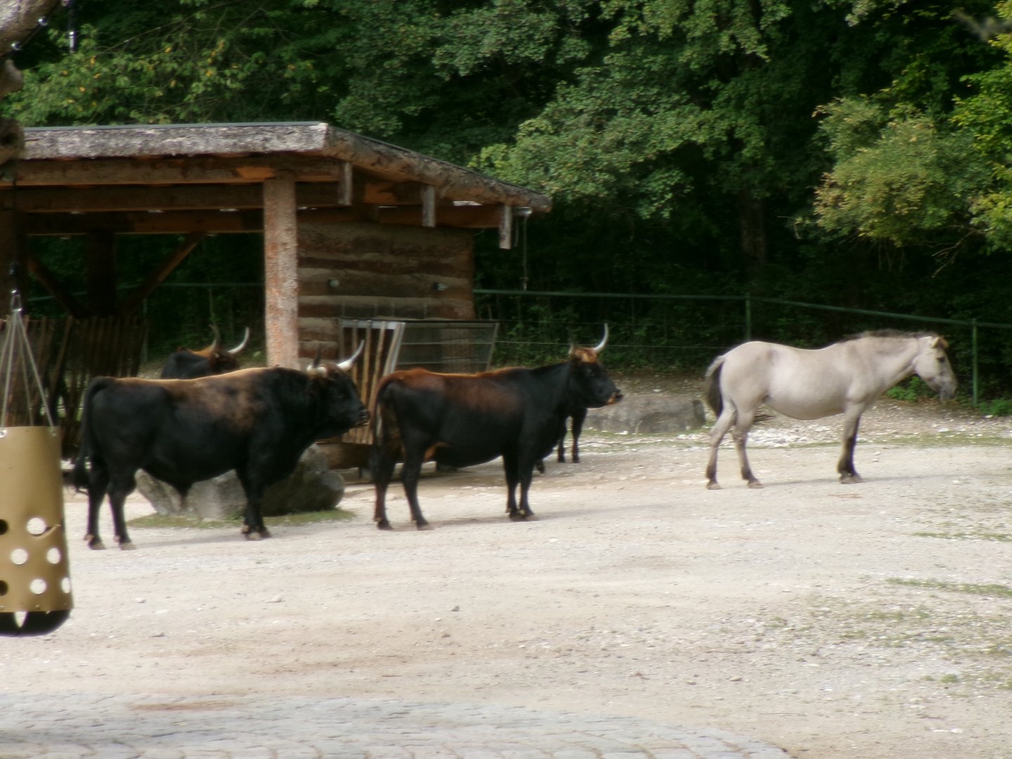 "Extinct animal" paddock